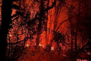 Environ 250 m2 de lisière ont été dévastés par les flammes à Flanthey (VS).